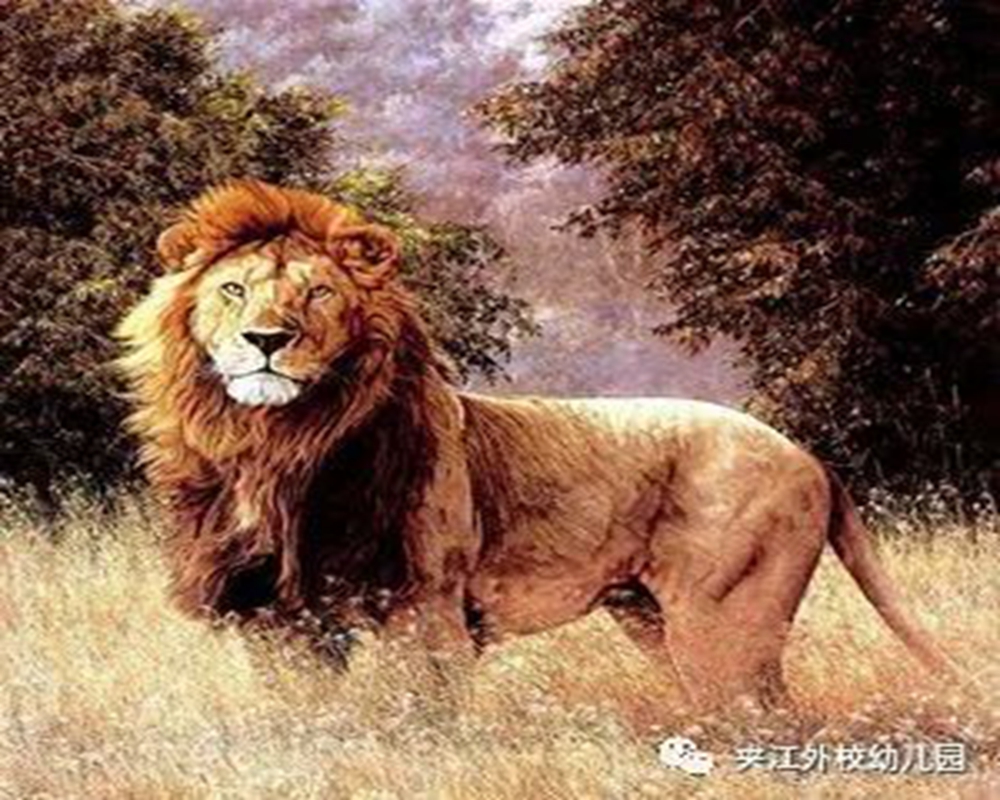 微信图片_20210527134907.jpg