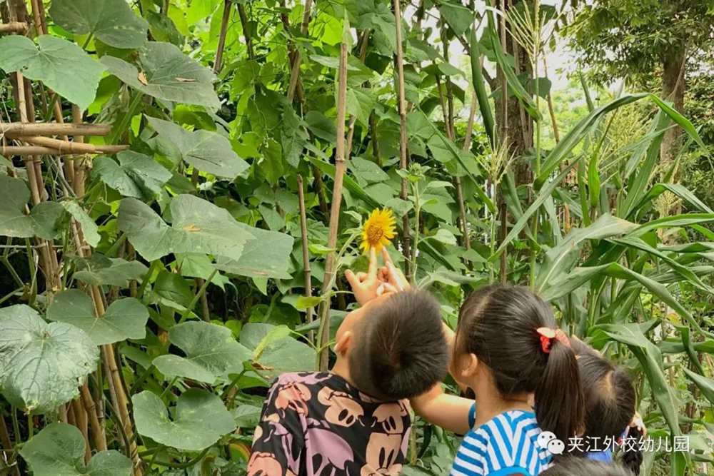 微信图片_20210812153521.jpg